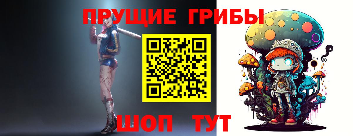 Псилоцибиновые грибы Cubensis  Вход с VPN  Нижнеудинск 